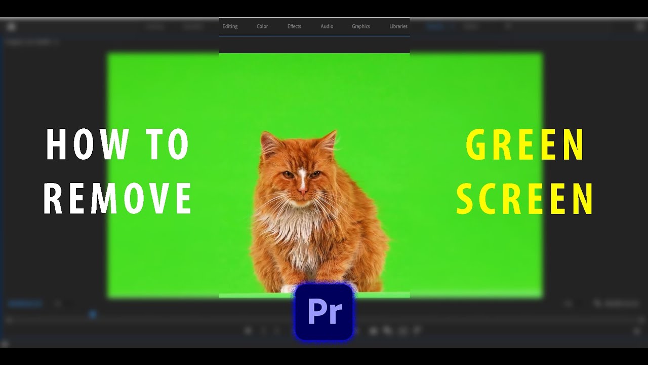 How To Green Screen Remove in Premiere Pro tutorial. YouTube