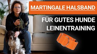 🐶 Stephanie Salostowitz ➡️Martingale Halsband für gutes Hunde Leinentraining 🐶✔️ by Stephanie Salostowitz - Online Hundetraining 14,585 views 3 months ago 10 minutes, 15 seconds