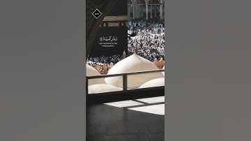 لايغرنك تقلب الذين كفروا في البلد| تلاوة خاشعة جميلة بصوت #ماهر_المعيقلي #quran #قرآن #short #تلاوات