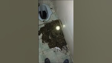 Chuyên  Hút  hầm  cầu  Và  Thông  Tắc  Cống  Nghẹt  – Tại  Tỉnh  Bình Thuận  (  LH : 0922.100.400 )