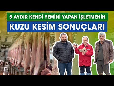 5 Aydır Kendi Yemini Yapan İşletmenin Kuzu Kesim Sonuçları