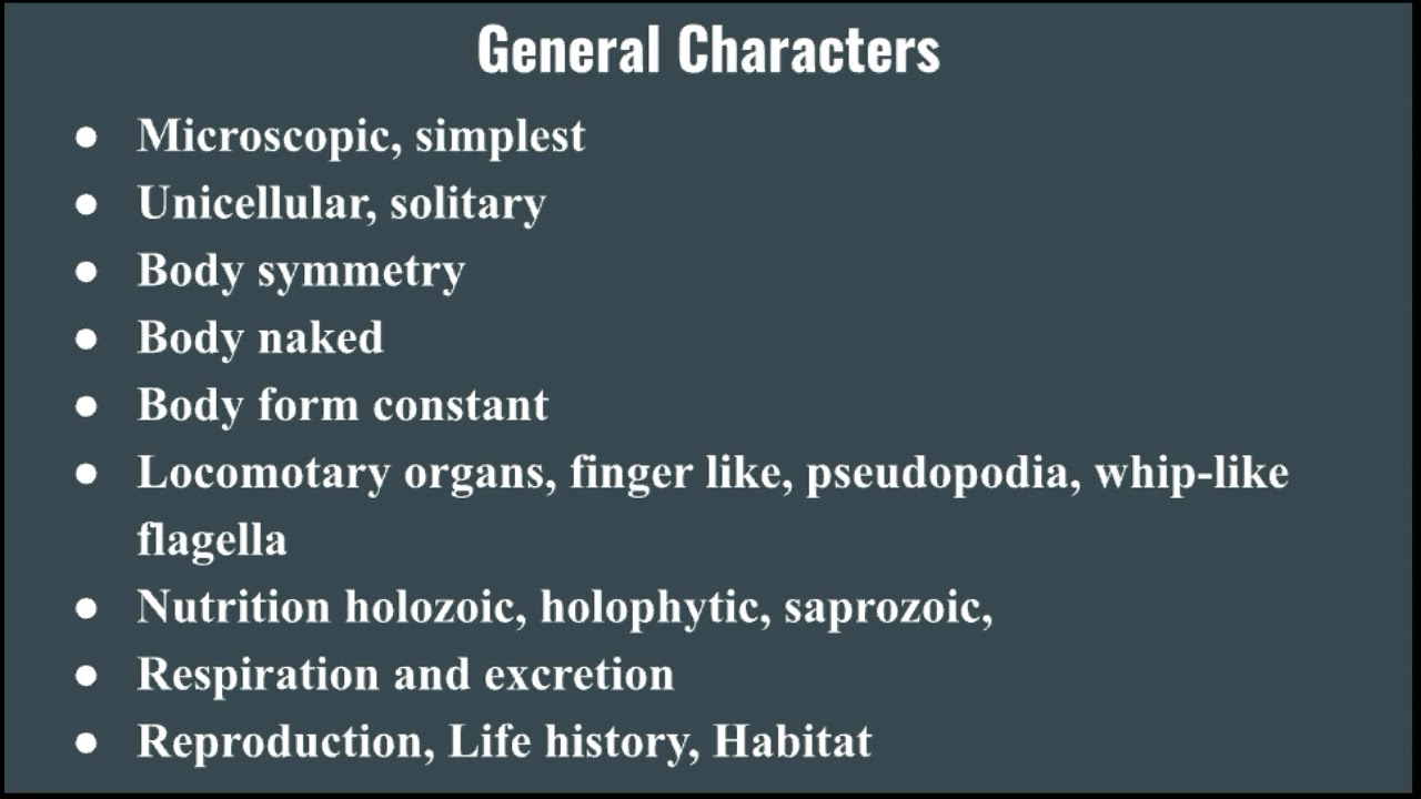 general characteristics