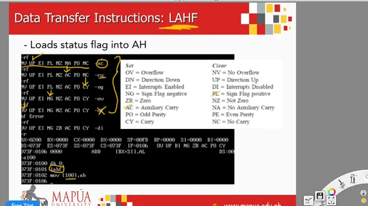 Computer System Organization Week 4 Data Transfer Instructions