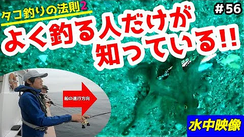 たこつる