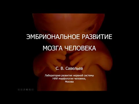 Video: V oplojeni embrionalni vrečki?