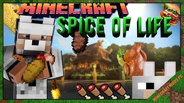 The Spice of Life Mod 1.12.2/1.11.2/1.10.2 Download - How to install it for Minecraft PC