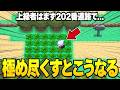 ダイパのストーリーを何周もしてる人達がやってる上級者ムーブ11選【ポケモンDP】