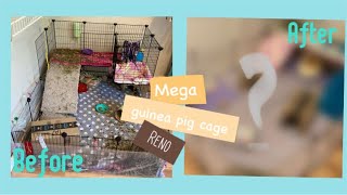 Mega Guinea Pig Cage Reno |Amazon haul / unboxing