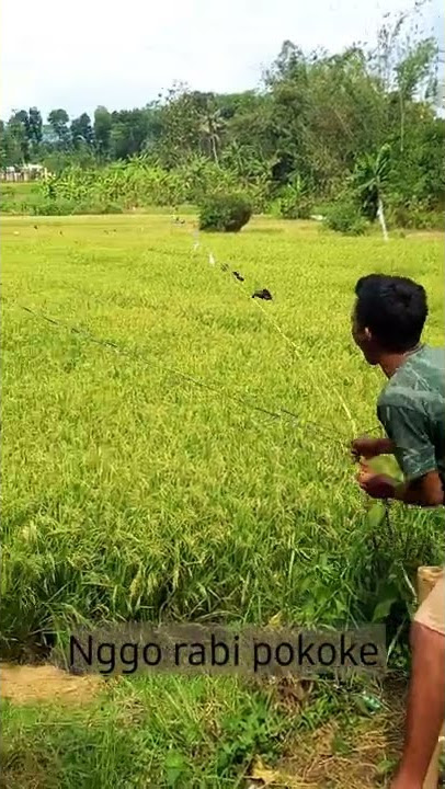 Ngakak / Lucu / status wa