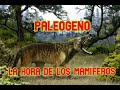 Historia del CENOZOICO | PARTE 1: "EL PALEÓGENO".