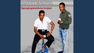 Download Ngithandana Nenuku Video MP3 Ngithandana Nenuku
