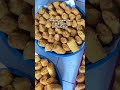 Risoles mayo ekonomis dua ribuan #risolmayo #idejualan #idejajananunikuntukusaha #jajanan #risoles