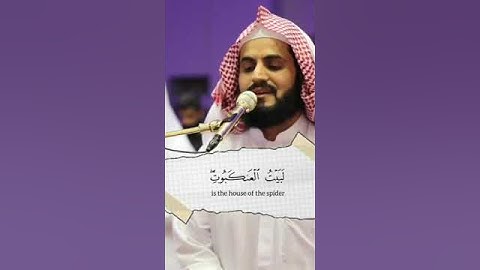 #الشيخ_رعد_الكردي #سورة_العنكبوت