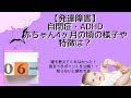 【発達障害】自閉症・ADHD赤ちゃん6ヶ月の頃の様子や特徴は?