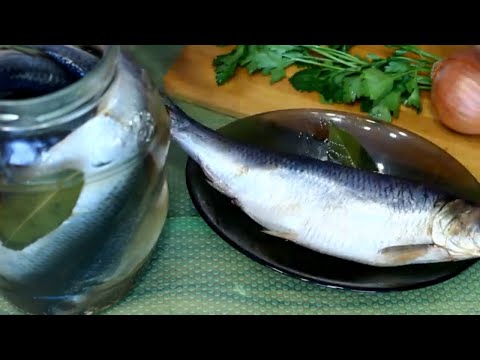Селедка в банке.