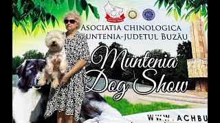 Voivodina Westie Kennel  Muntenia Dog Show, Buzau 2023