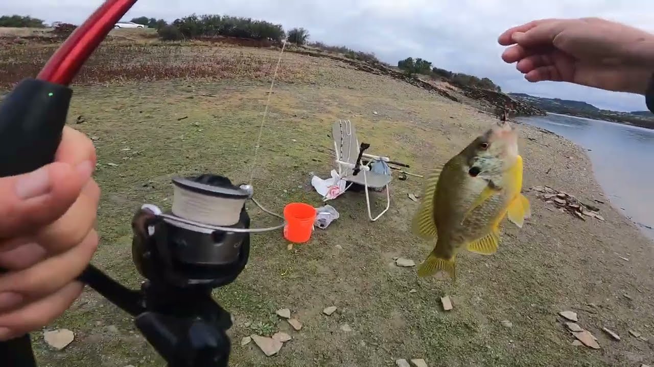 # 209.  11. 18. 2025.  Lake Amador California.