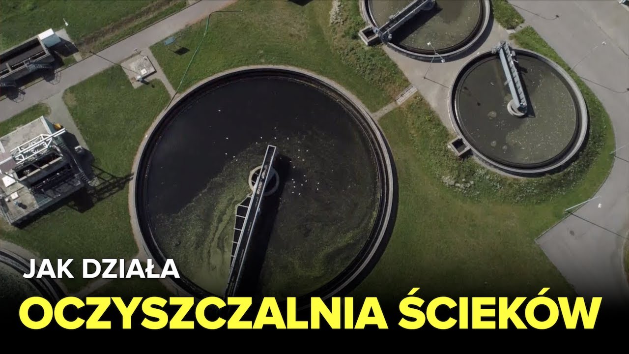 Jak działa wszechświat 2020 S08E08 PL HDTV XviD