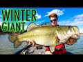 How To Find MASSIVE Winter Bass!! NEW LAKE (Part 3)