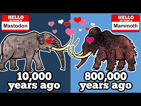 Video: Eelajaloolised Koletised Paralleelmaailmadest - Alternatiivvaade