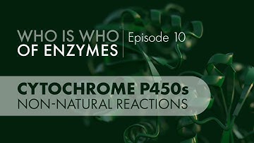 Who Is Who of Enzymes: Cytochrome P450 Monooxygenases (Non-natural Reactions)