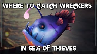 How To Catch All The Wreckers In Sea Of Thieves! Net Worth