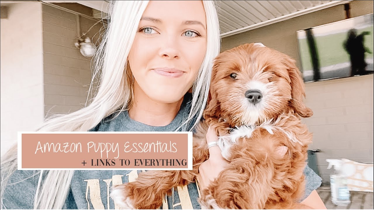 Puppy Essentials From Amazon | Everything You Need For Your New Puppy
