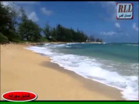 لست أرى رجال ياقوت دندشي