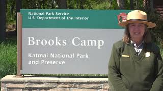 Welcome to Brooks Camp 2022