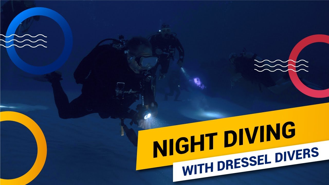NIGHT DIVING in BAYAHIBE (the Dominican Republic) with DRESSEL DIVERS