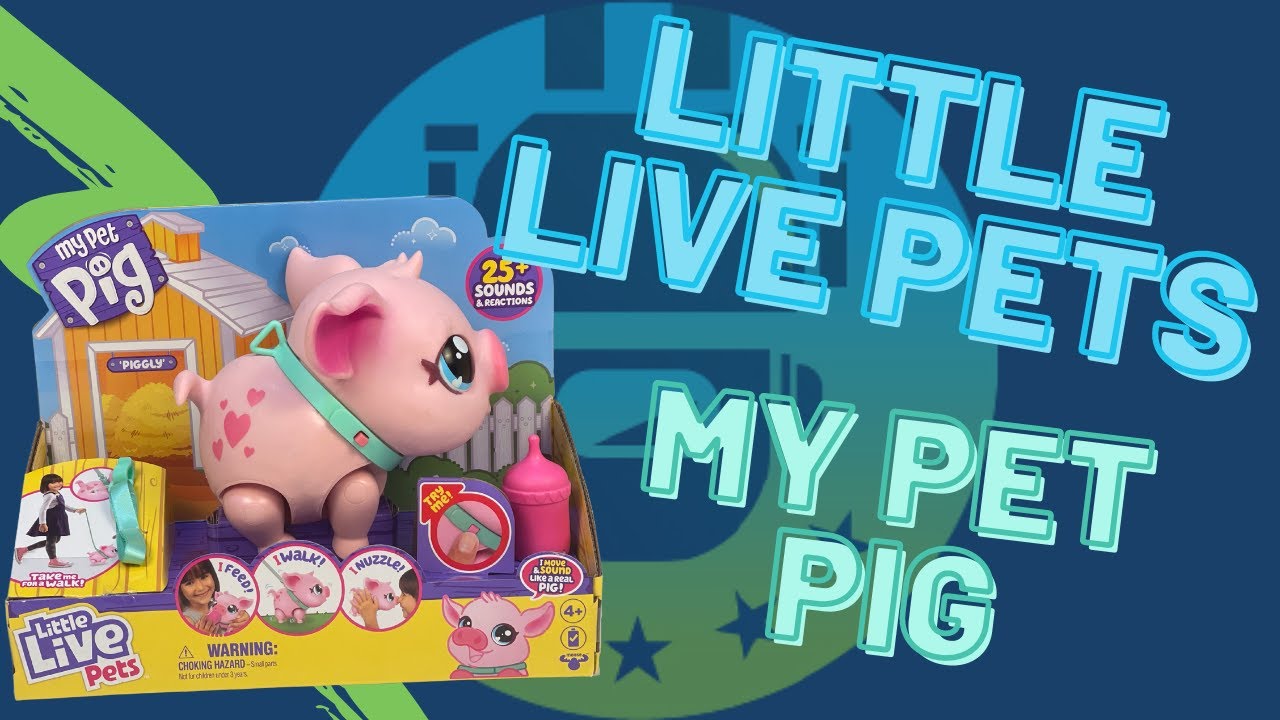 Little Live Pets My Pet Pig