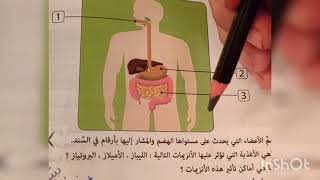 مكونات الجهاز الهضمي و محطات الهضم رابعة متوسط