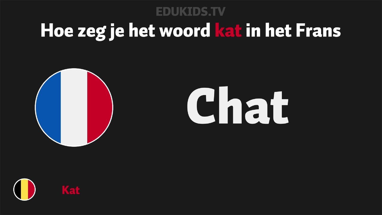 Hoe zeg je 'kat' (chat) in het Frans - YouTube