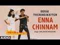 Enna Chinnam Audio Song | Tamil Movie Oorai Theringikkiten | Pandiarajan,Pallavi | Gangai Amaran