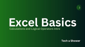 Excel Basics - Calculations and Logical Operators Intro