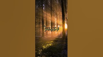 تلاوة من #قران_كريم #المنشاوي #اكسبلور #quran