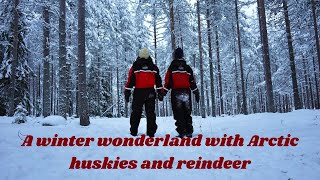 We visited the Arctic Circle, in Rovaniemi Finland & got a ride with Santa's Reindeer | Lapland pt 2