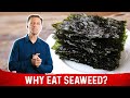 What is seaweed  drberg explains roasted seaweed benefits