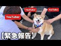 【緊急報告】まさかここまでになるとは思いませんでした…柴犬とハスキーが繋げてくれた出来事