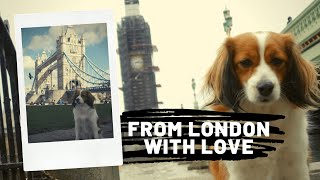 VLOG : London & Crufts 2019 // Kooikerhondje by AndyWho11th 179 views 5 years ago 7 minutes, 41 seconds