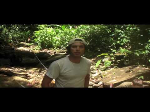 Guppy Mark-Recapture 2