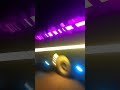 #Luxury #Bus #viral #trending