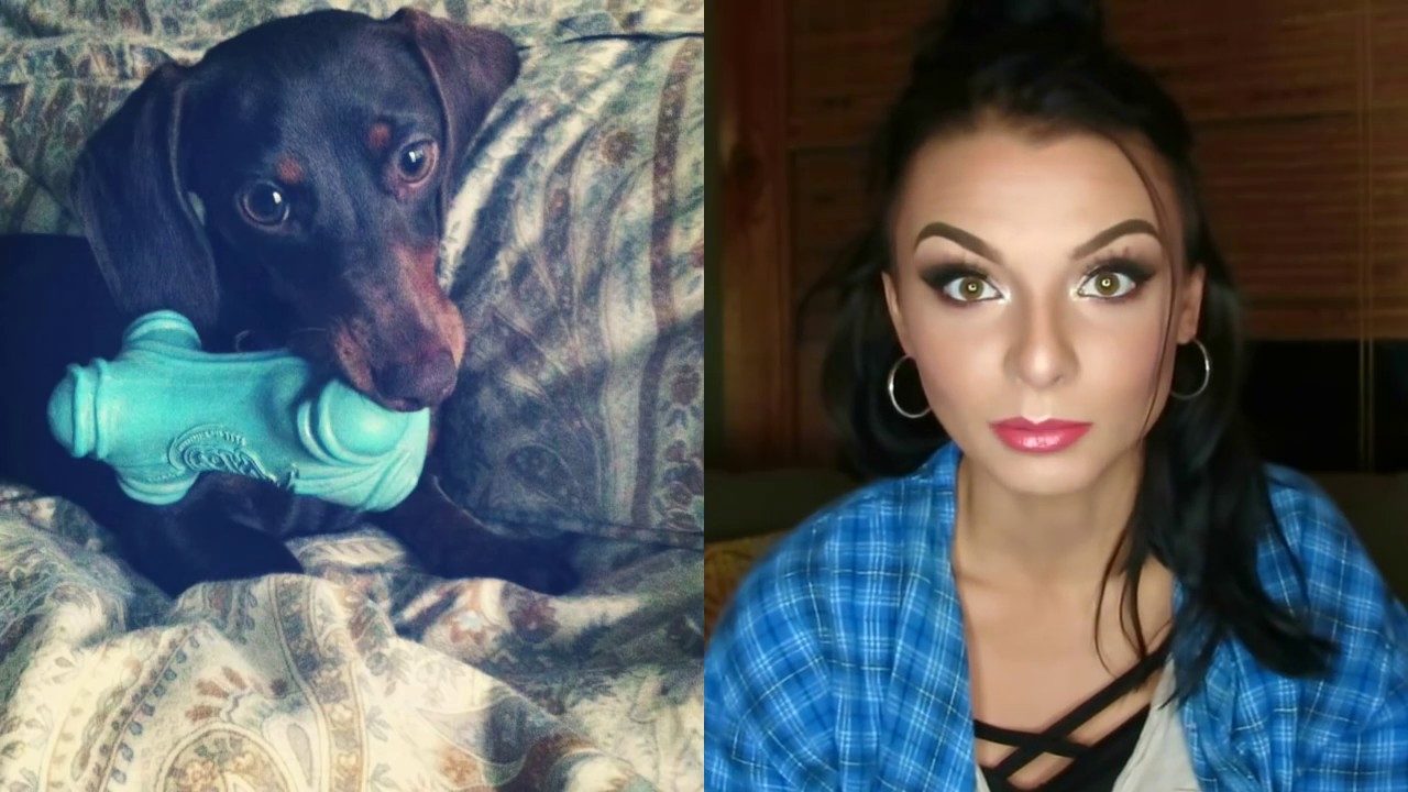 😞 My Puppy Was Killed At Petsmart....PetSmart NOT at Fault STORYTIME