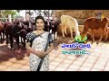 7th October 2022 | Annadata | అన్నదాత | Full Episode | ETV Telugu Mp3 Song