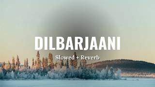Dilbarjaani (Slowed + Reverb) | RAAG DROPZ | Sunny S | Simiran Kaur Dhadli  | New Punjabi Song 2026