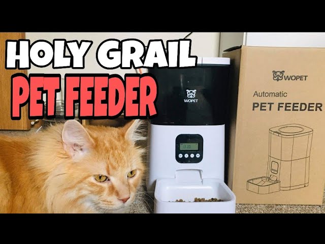 WOpet Automatic Pet Feeder WiFi Cat Feeder with Remote Control