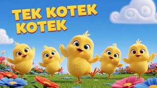 TEK KOTEK KOTEK - ANAK AYAM PIYIK PIYIK - LAGU ANAK ANAK - LAGU ANAK INDONESIA POPULER