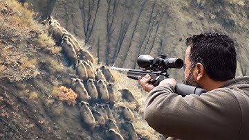 TOP 100 WILD BOAR HUNTS - EN İYİ 100 DOMUZ AVI - PART 2