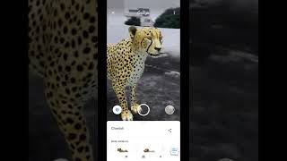 #3D View Of Tiger (how to view 3D image of any animal or product on you mobile.#3danimation #shorts screenshot 1