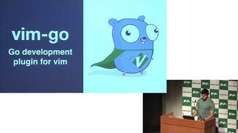 [English] The Past and Future of Vim-go